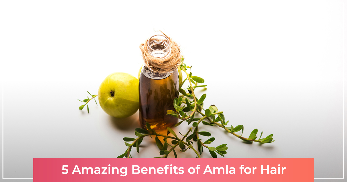 benefits of amla for hair